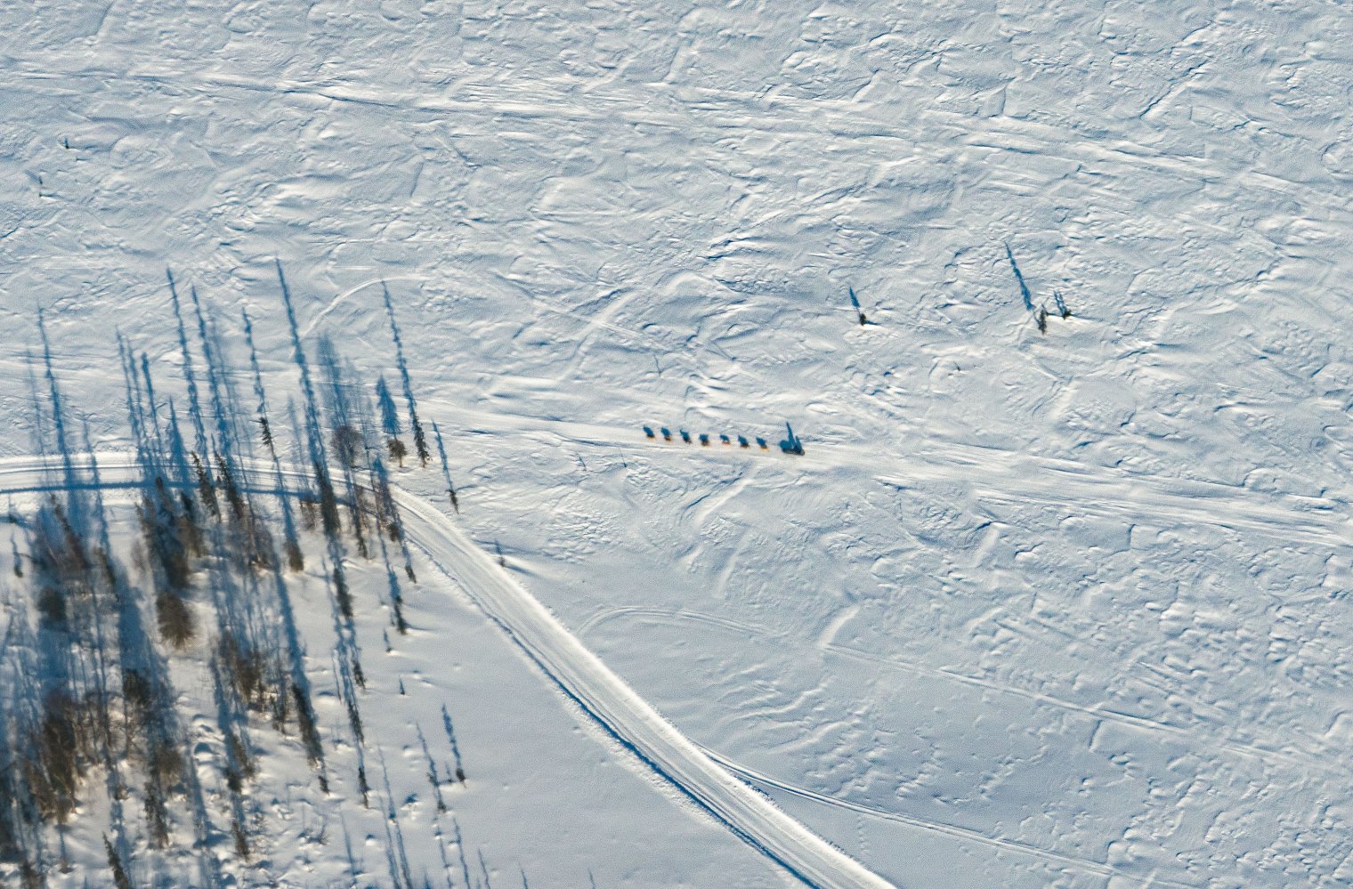 Mushers and dogs with sled seen aerially running the Iditarod trail